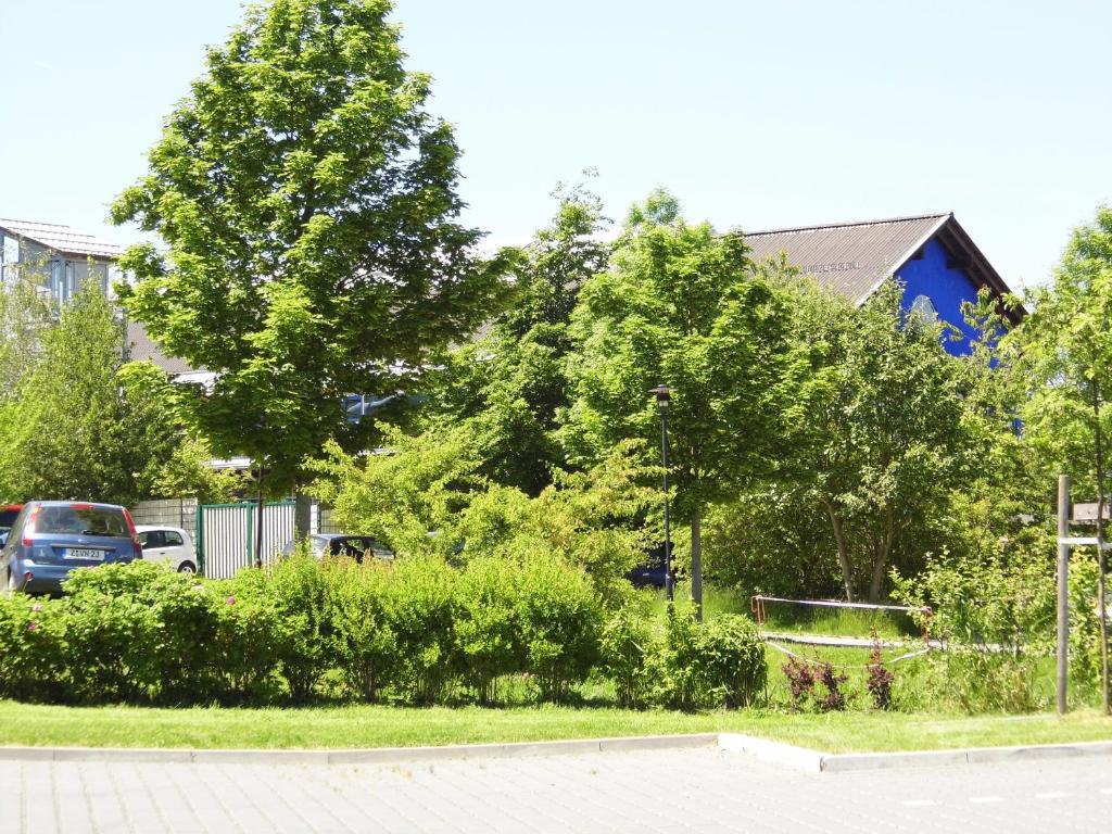 Reit- Und Sporthotel Eibenstock Exterior foto